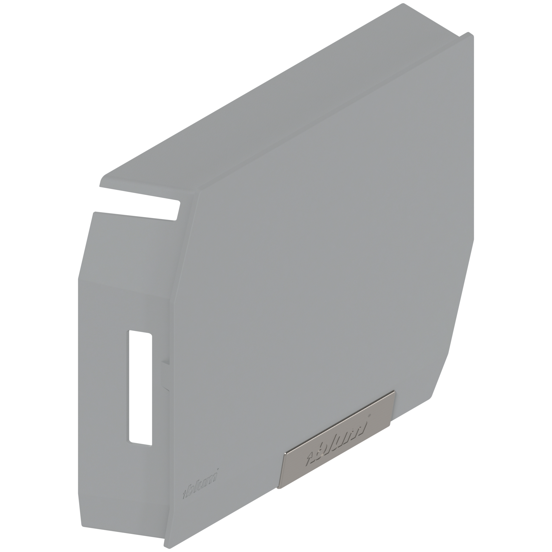 AVENTOS HK-S do małych frontów uchylnych, zaślepka, z zamontowaną małą zaślepką, prawa, jasnoszary/inox